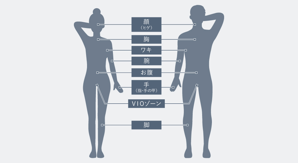 使用できる部位一覧：顔（ヒゲ）,I・Oゾーン,胸,ワキ,腕,お腹,手（指・手の甲）,Vゾーン,脚