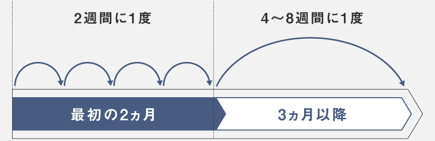 お手入れ頻度の図説：最初の2ヵ月は2週間に1度、3ヵ月以降は4～8週間に1度