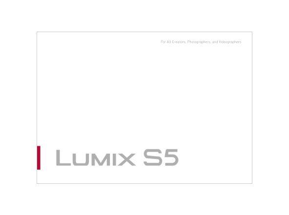 フルサイズ一眼 LUMIX S5