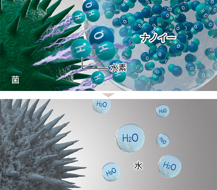 OHラジカルが菌の水素を抜きとる様子のイラスト