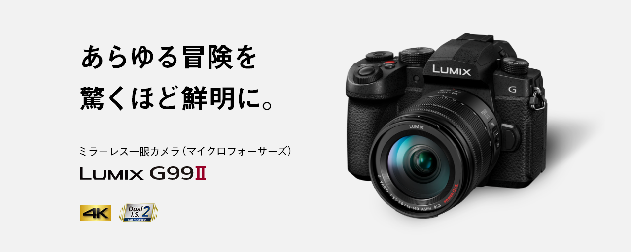 DC-G99M2