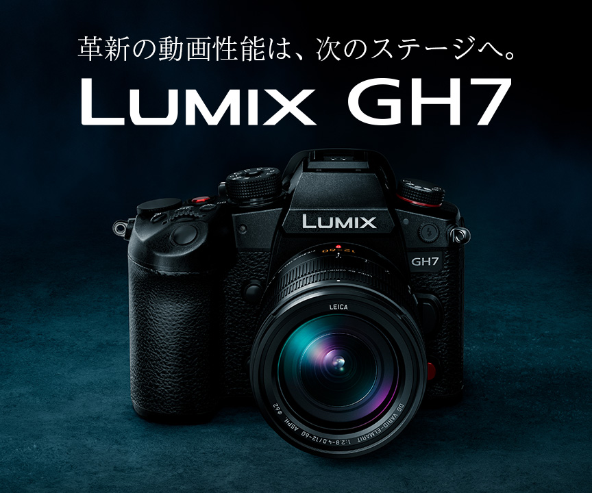 LUMIX S9