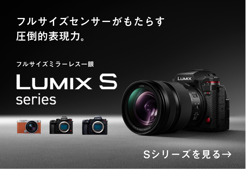 デジタルカメラ（ルミックス） | カテゴリー概要 | Panasonic