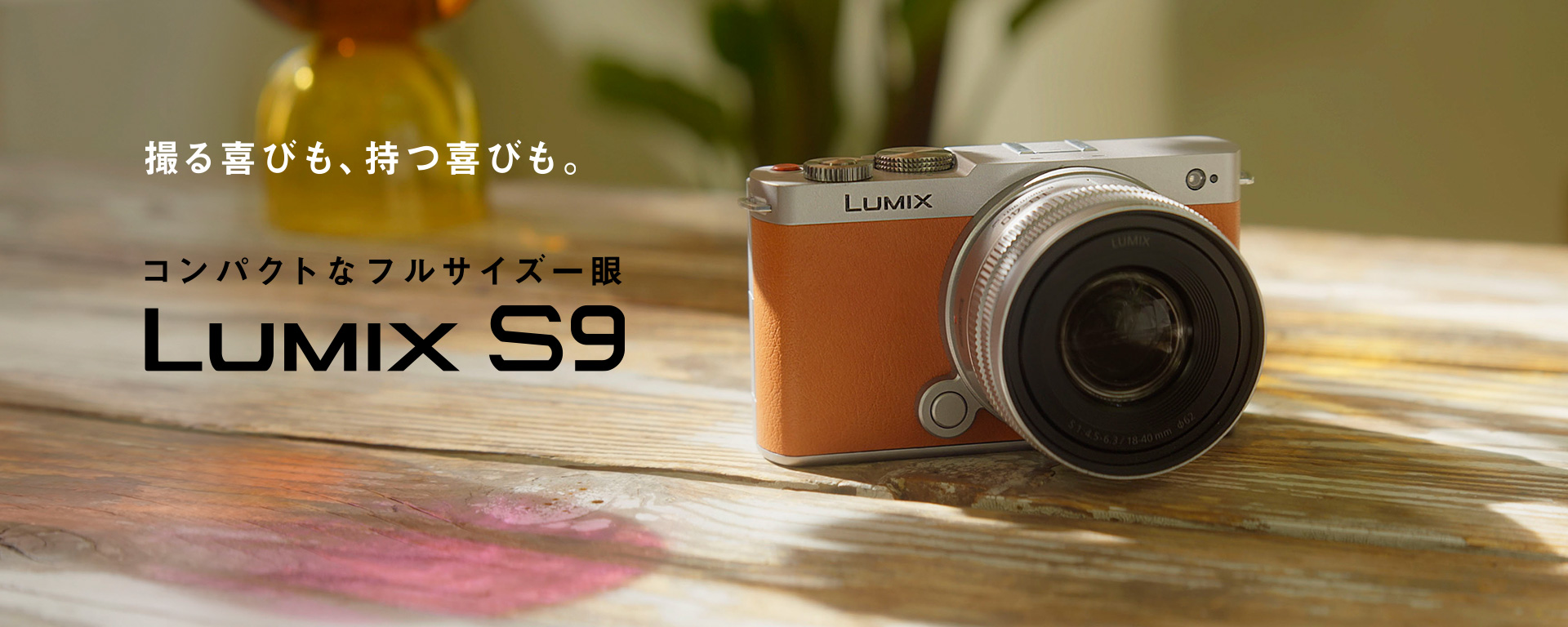 LUMIX S9