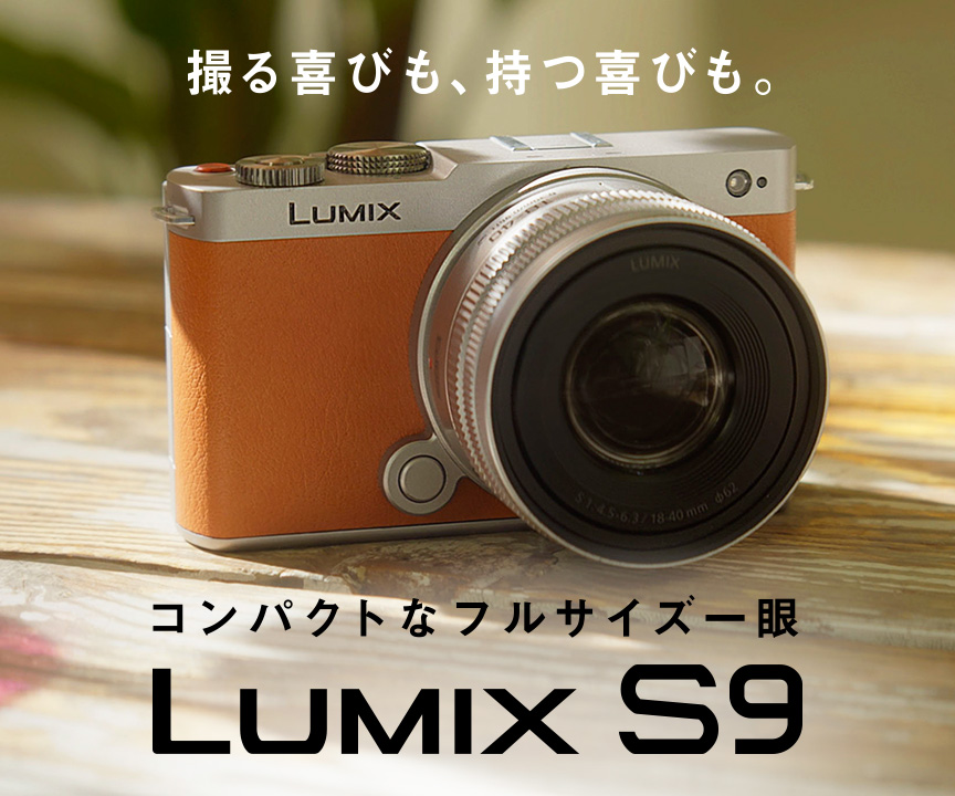 LUMIX S9