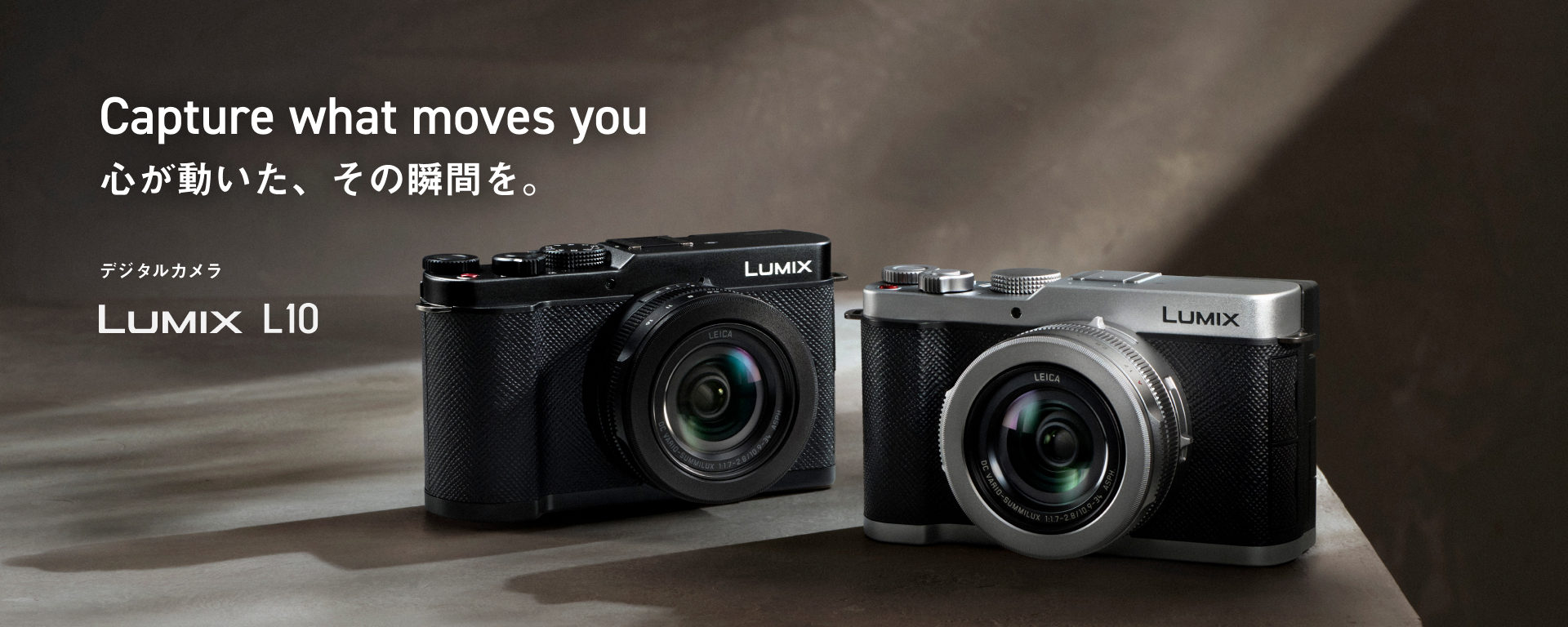 LUMIX L10