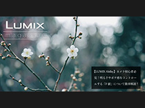 知っておきたい設定（F値編）