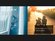 知っておきたい設定（ホワイトバランス編）