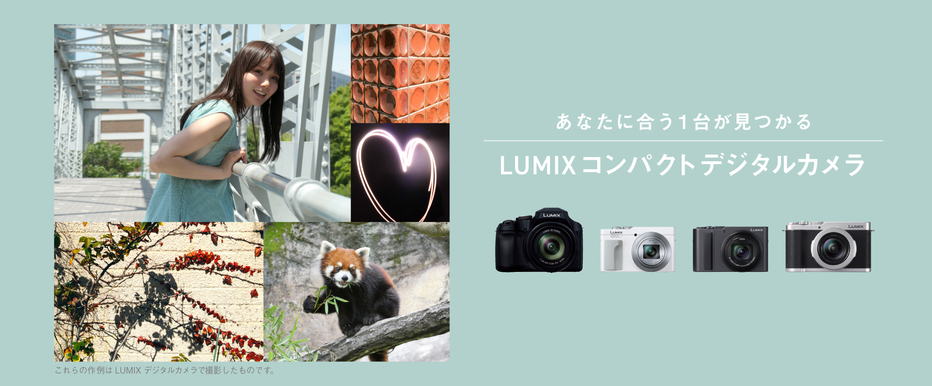 あなたに合う1台がみつかる　LUMIXコンパクトデジタルカメラ