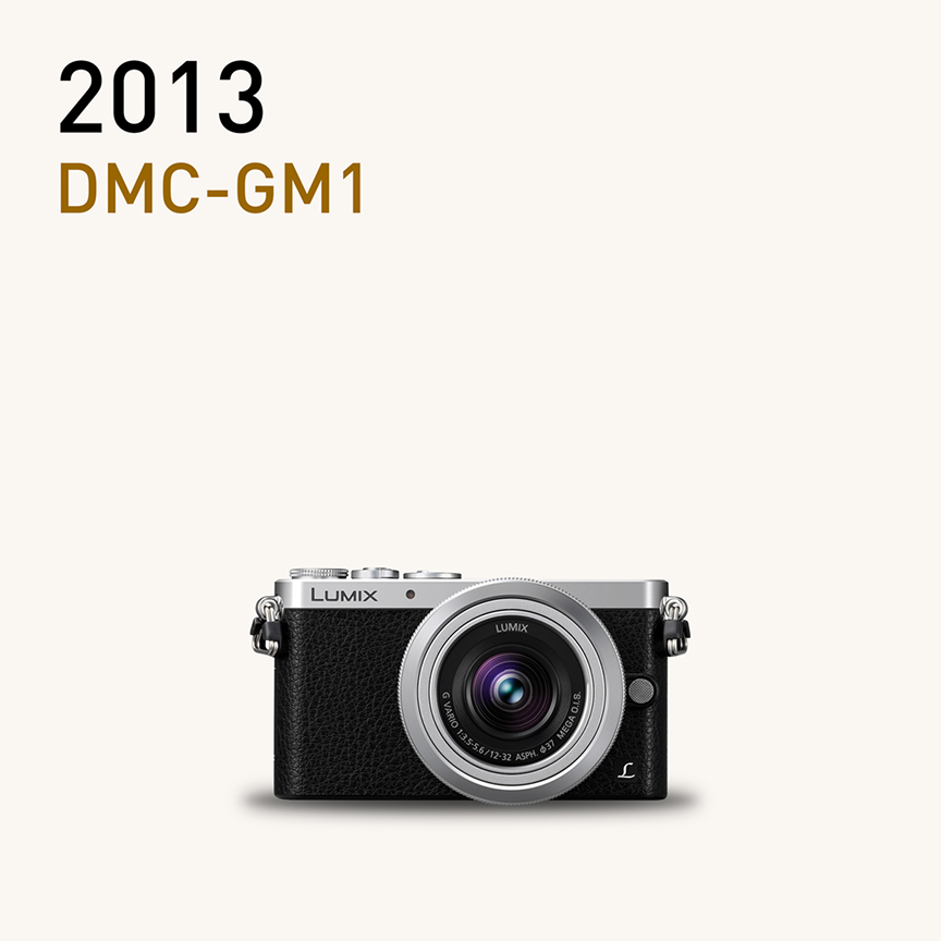 画像：2013 DMC-GM1