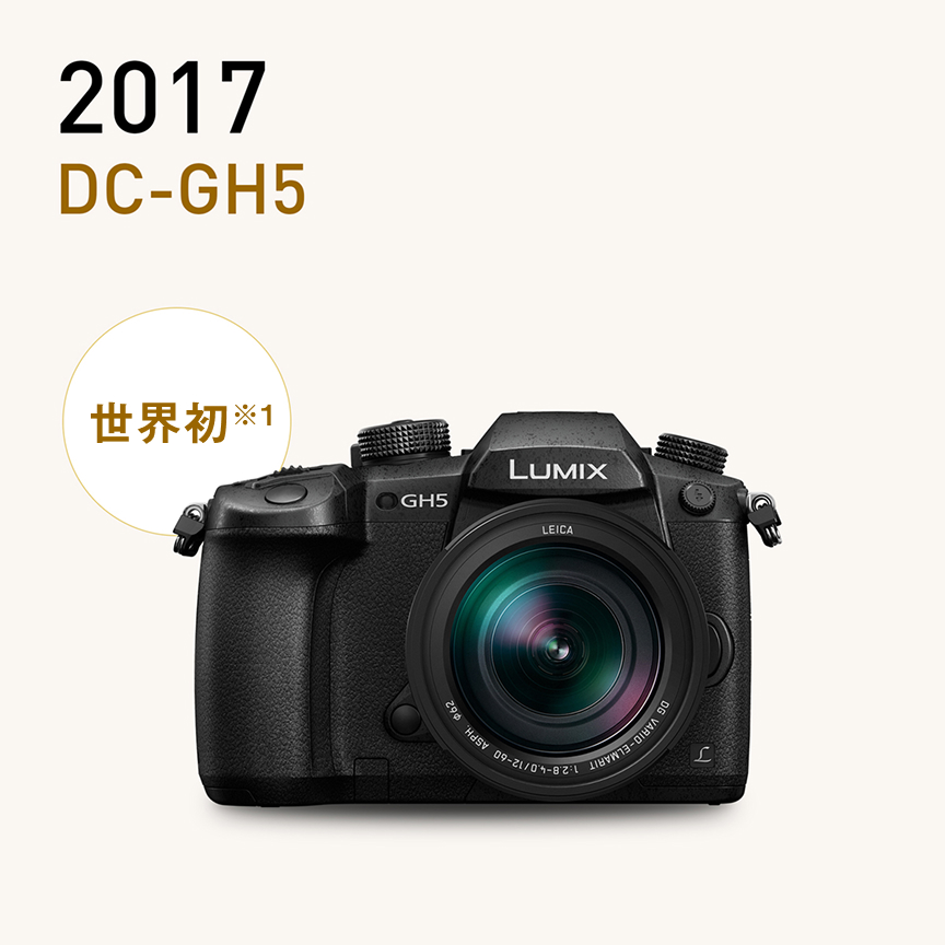 画像：2017 DC-GH5