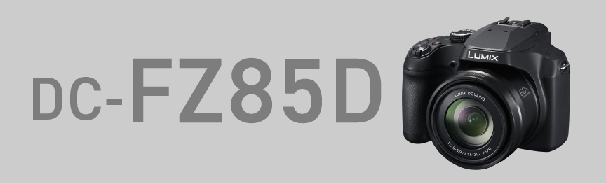 DC-FZ85D