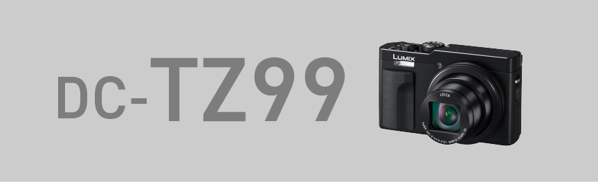 DC-TZ99