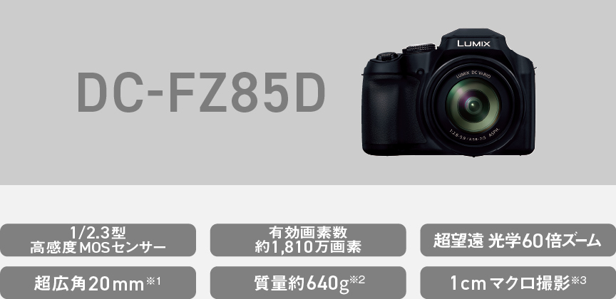 DC-FZ85Dスペック