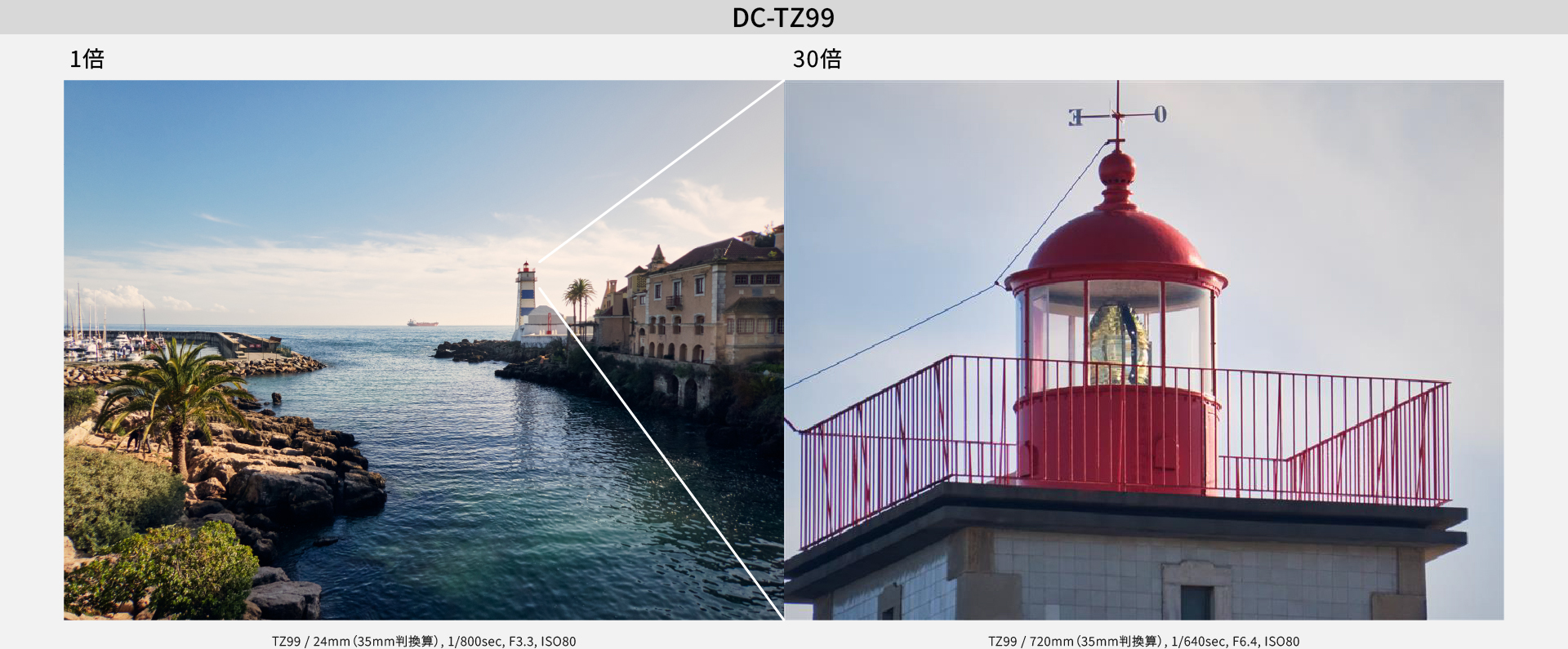 ズーム比較：DC-TZ99