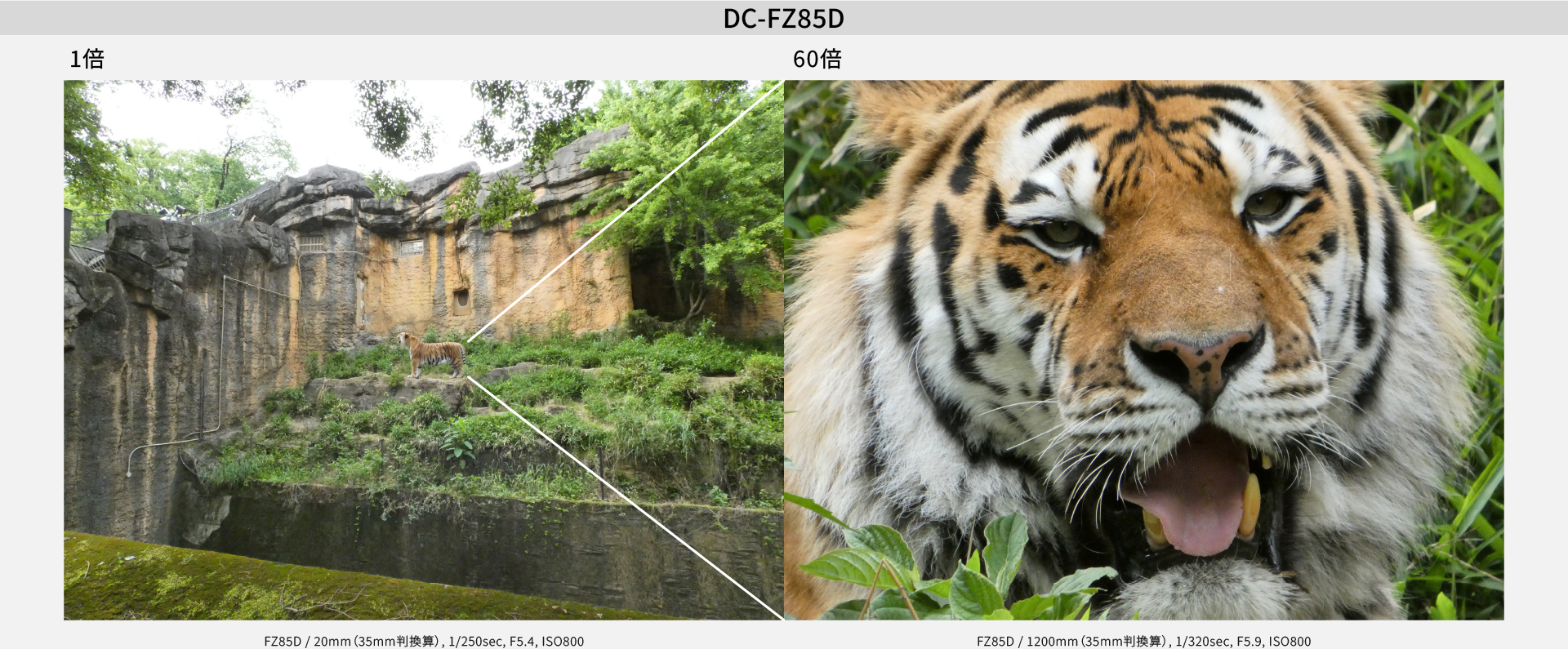 ズーム比較：DC-FZ85D