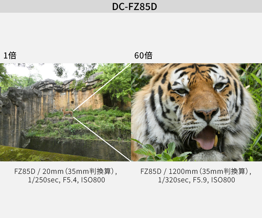 ズーム比較：DC-FZ85D