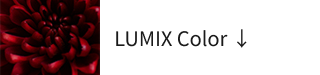 アイコン　LUMIX Color
