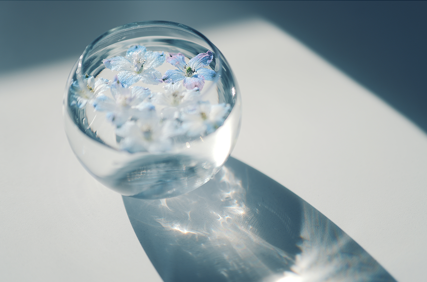 Bloom