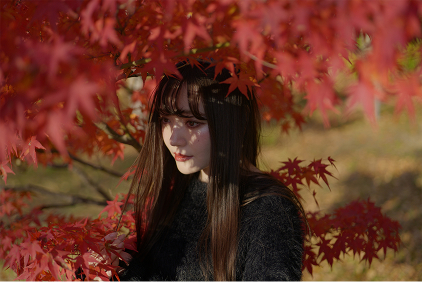 シネライクD2 Sample01