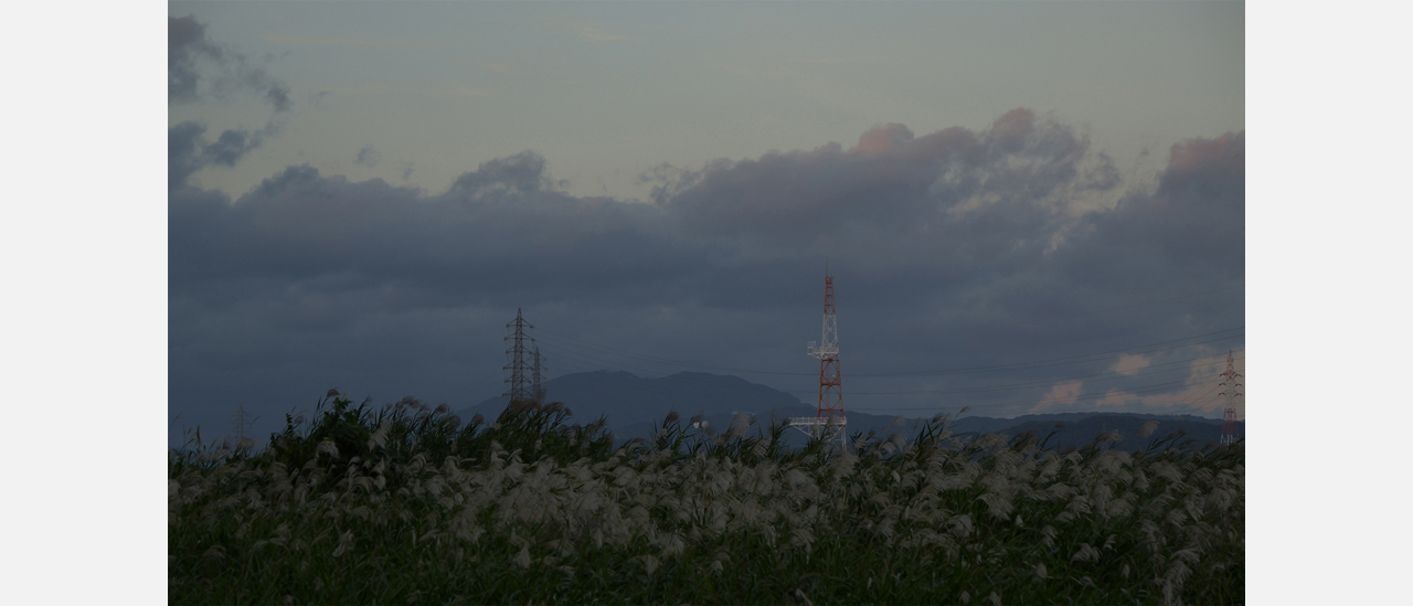 シネライクD2 Sample02