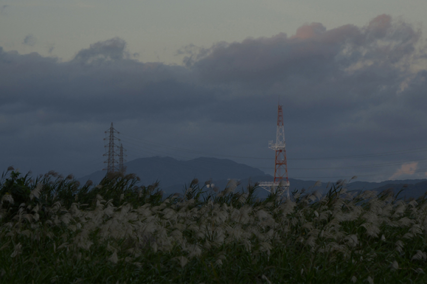 シネライクD2 Sample02