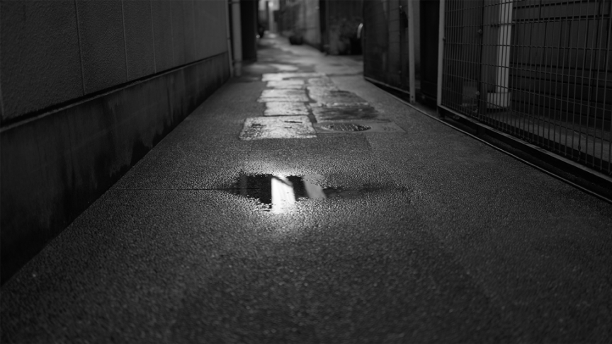 L.モノクロームS Sample03