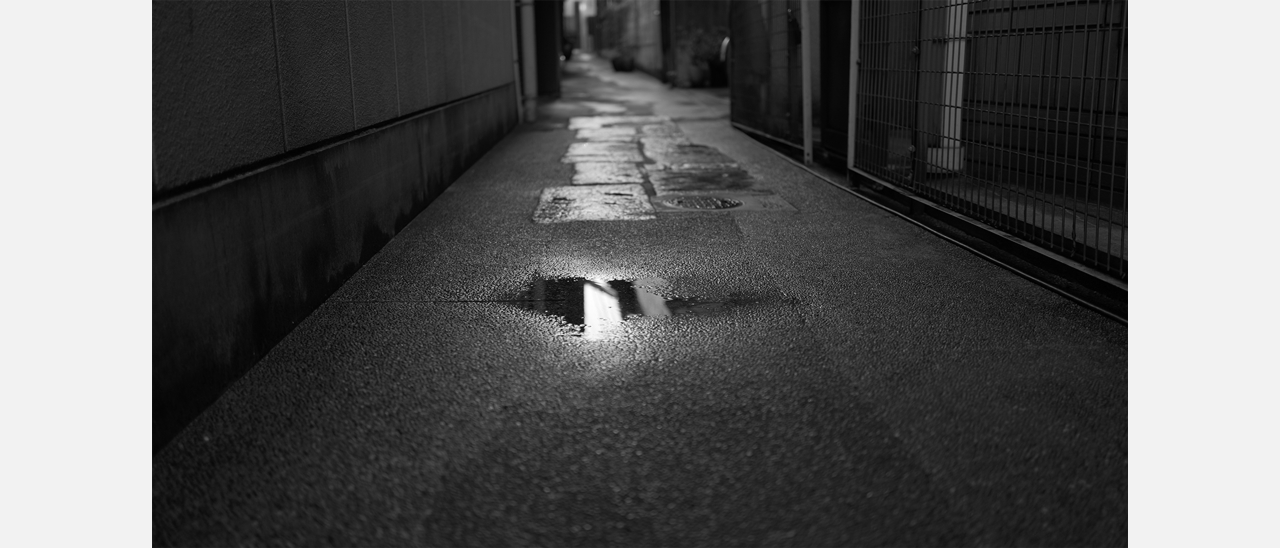 L.モノクロームS Sample03