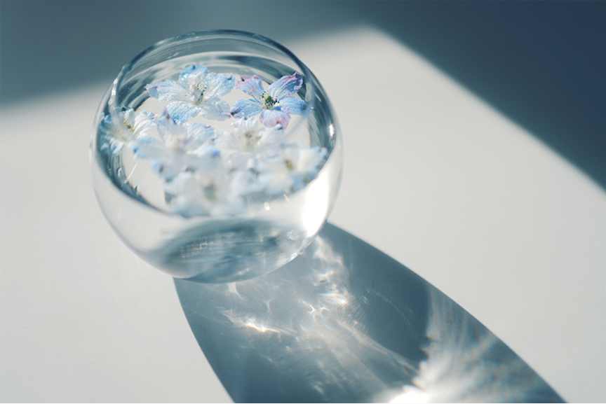 Bloom Sample02