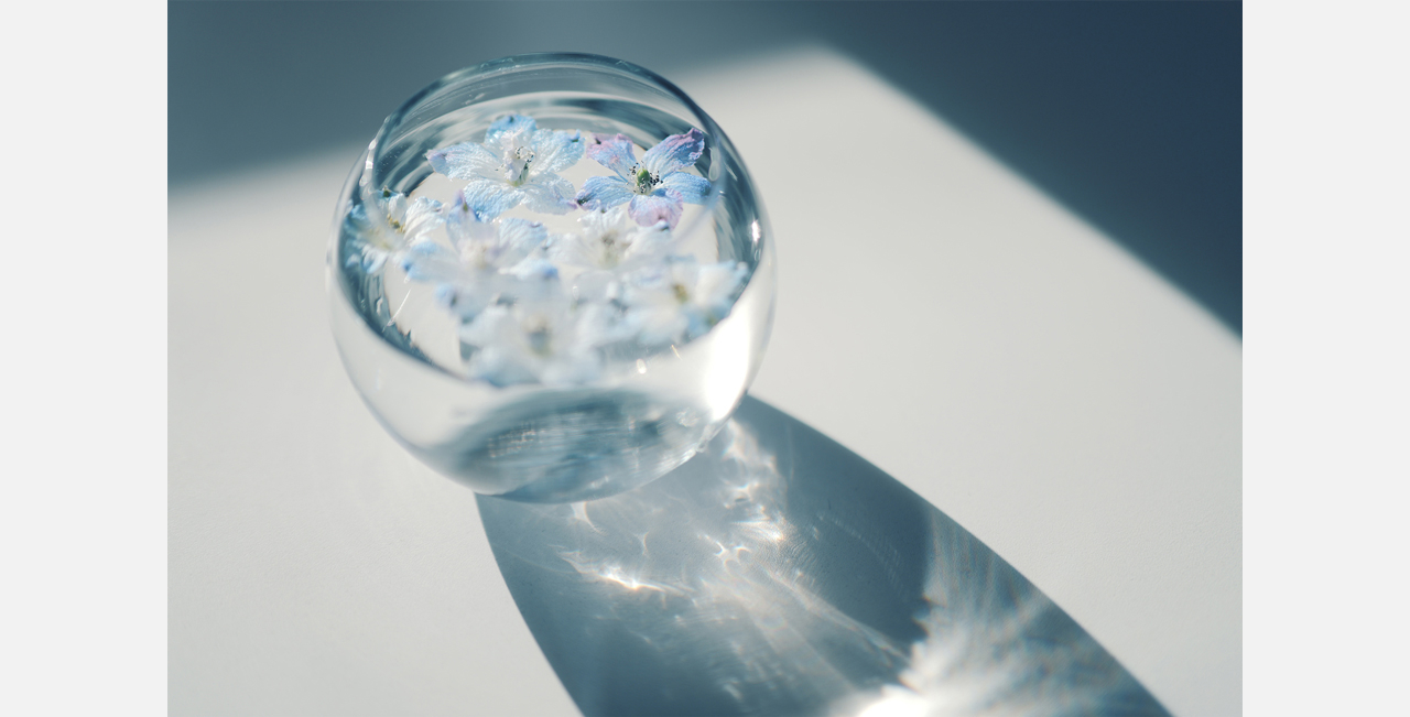 Bloom Sample02