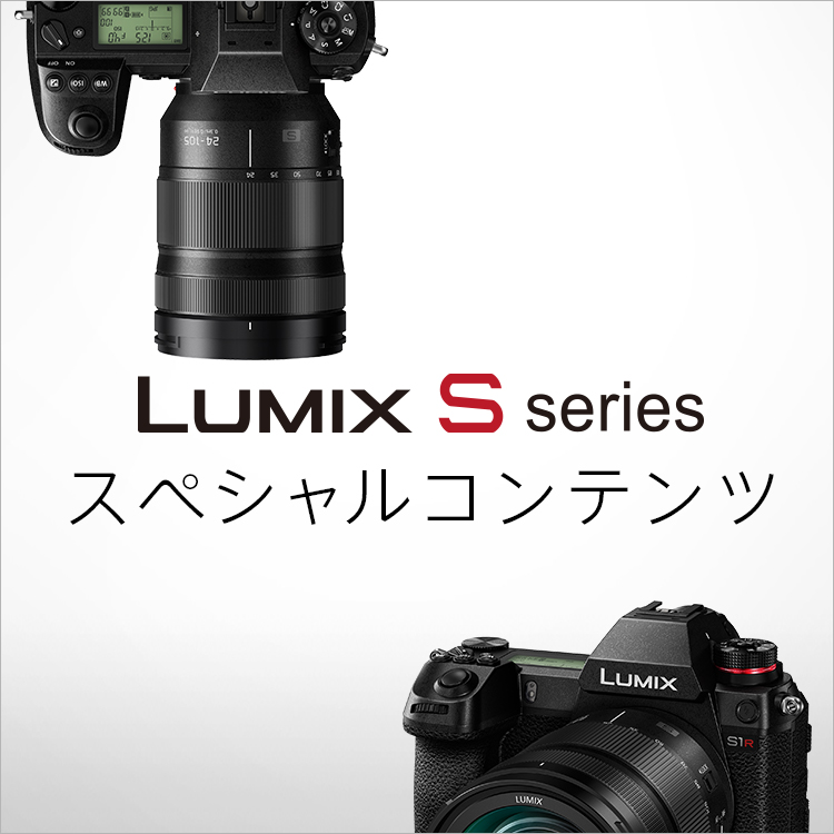 altテキストが入ります