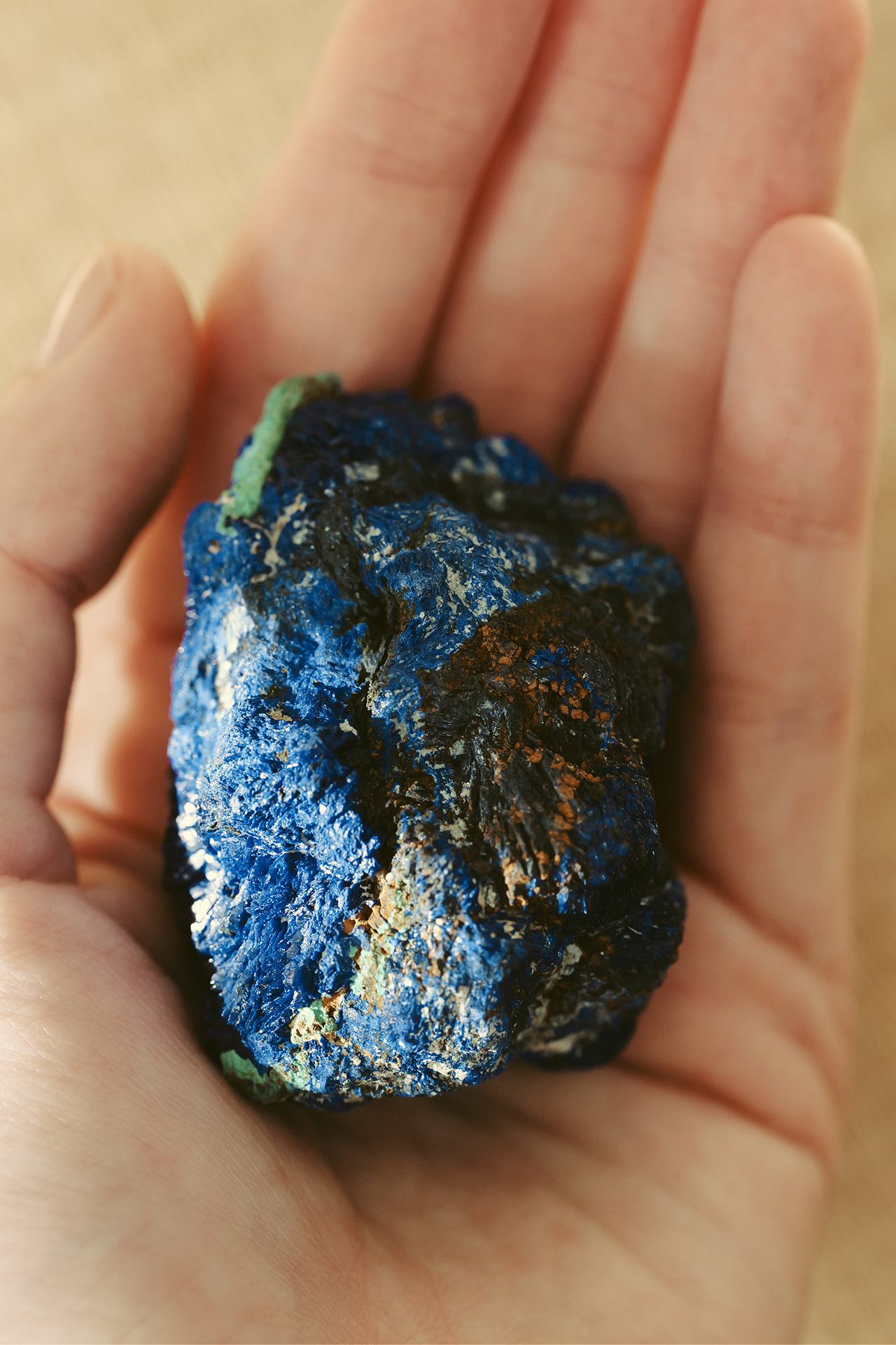 ・この子は、きっと、独り言を言うと思う ・地球みたい