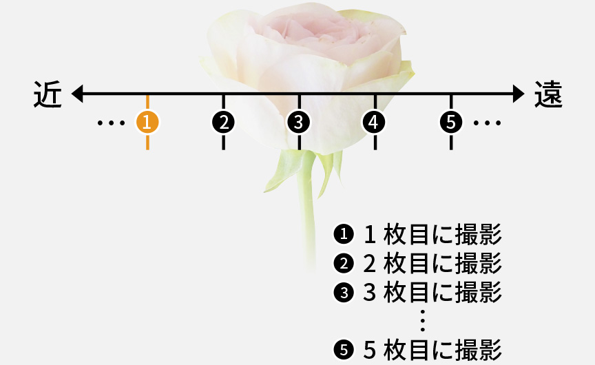 ブラケット順序 [-/0/+]の場合