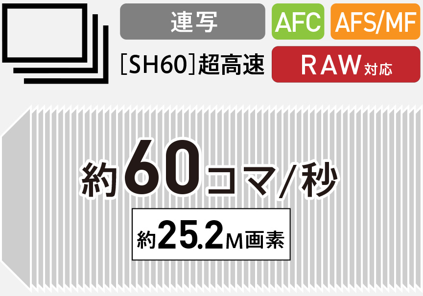 超高速 約60コマ/秒 AF追従連写（電子シャッター）