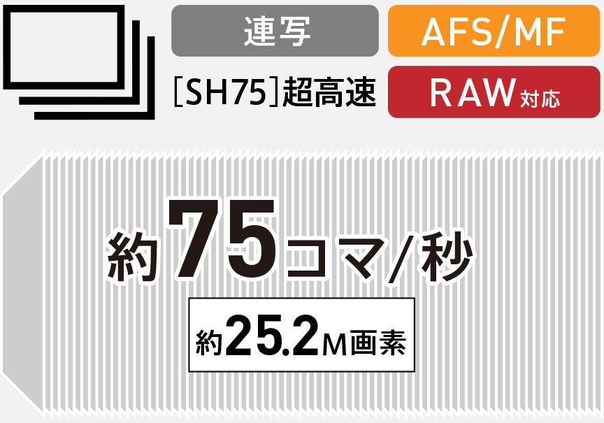 超高速 約75コマ/秒 AF固定連写（電子シャッター）