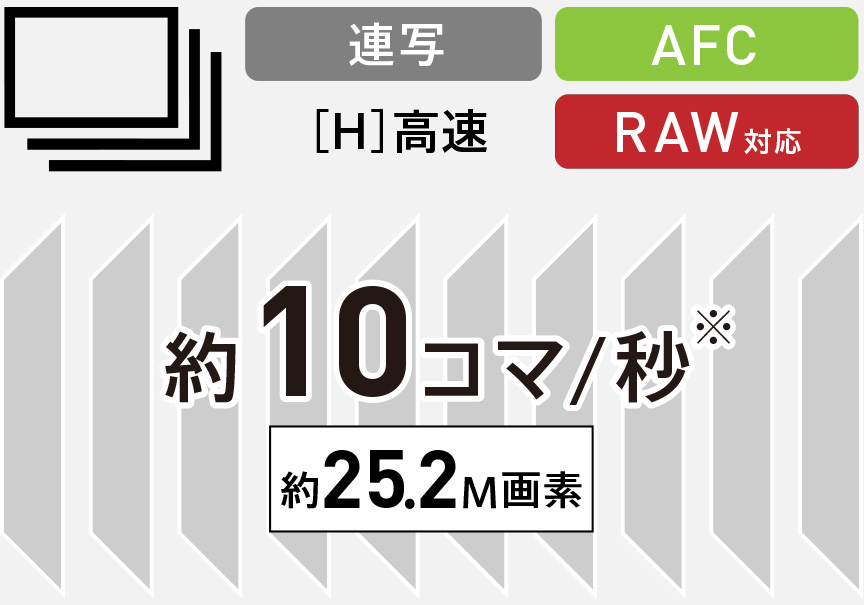 高速 約10コマ/秒 AF追従連写（メカシャッター）