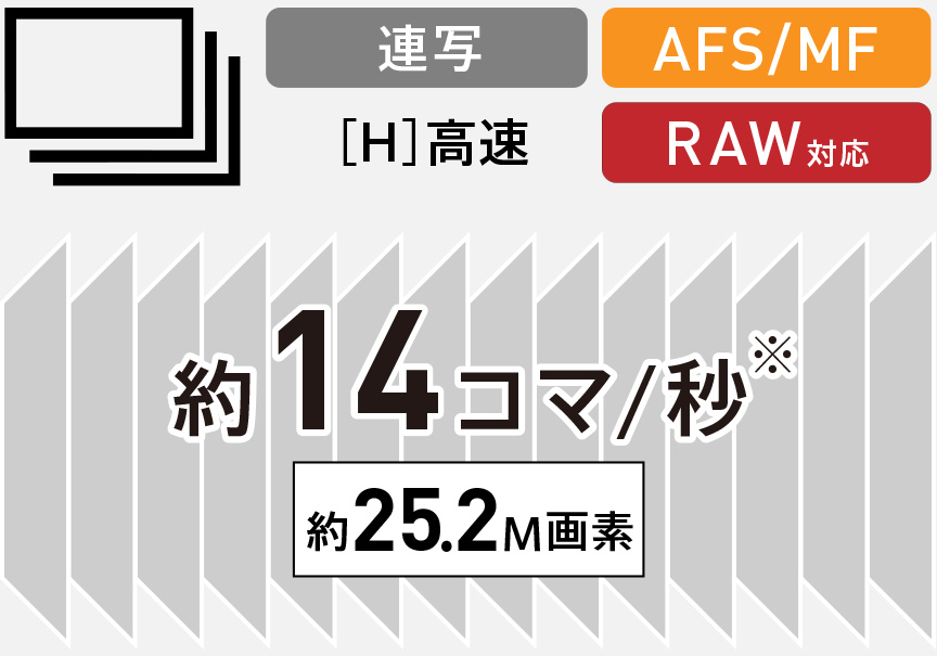 高速 約14コマ/秒 AF追従連写（メカシャッター）