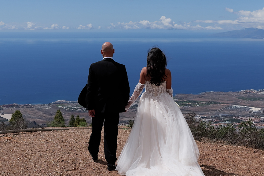 画像：動画性能