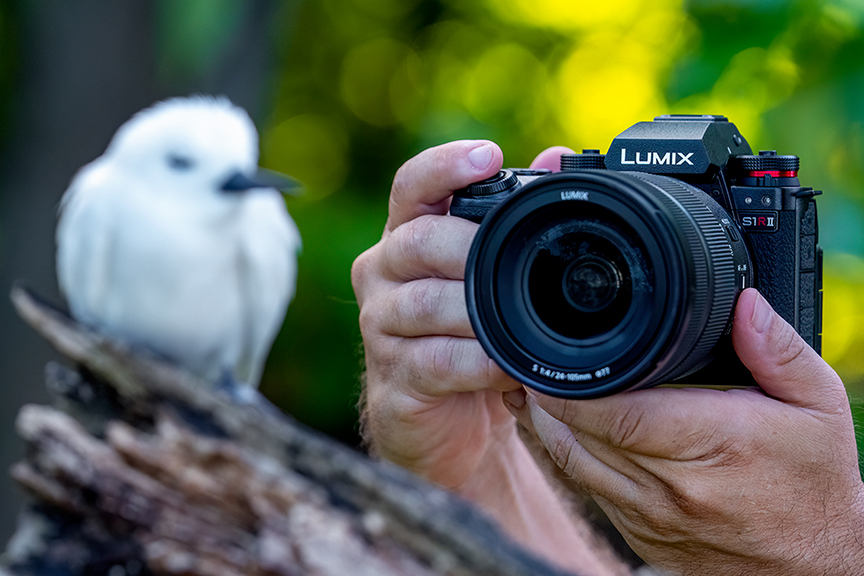 画像：カメラと一体となれるデザイン
