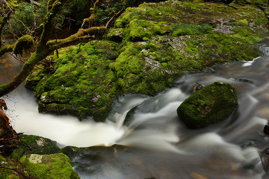 静止画サンプル画像02