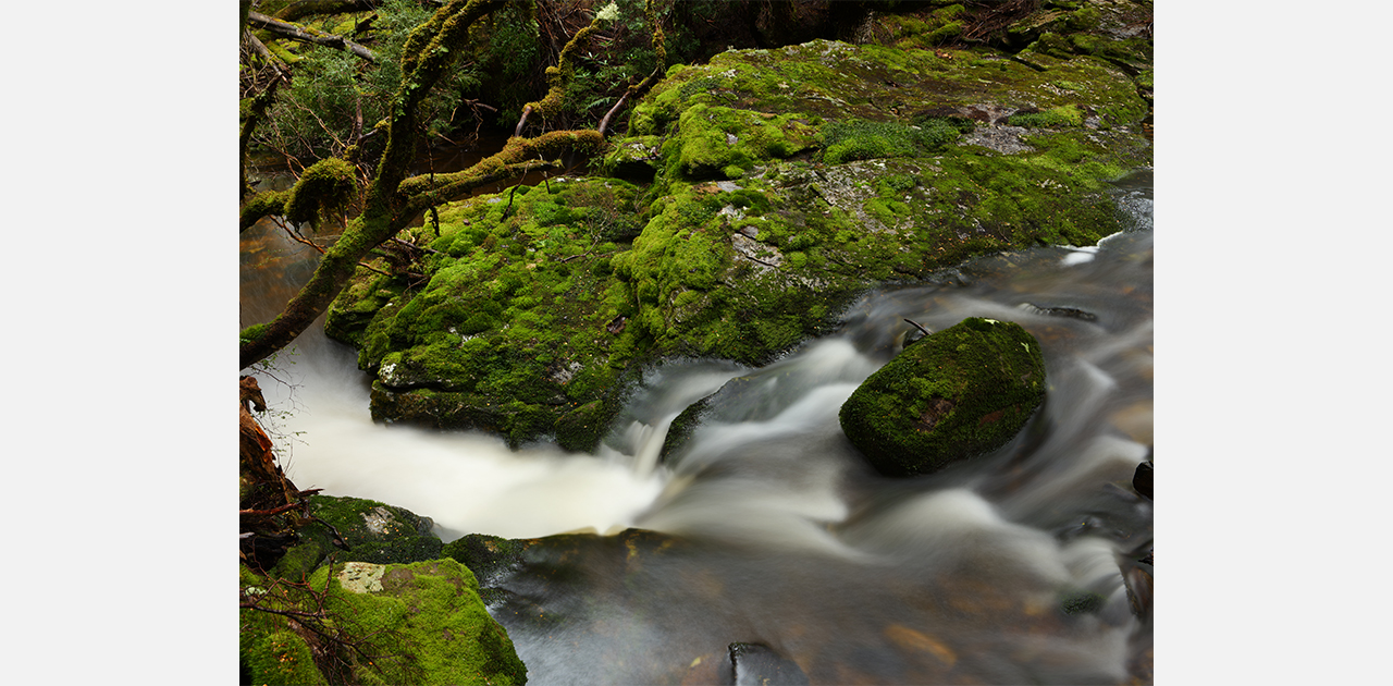 静止画サンプル02