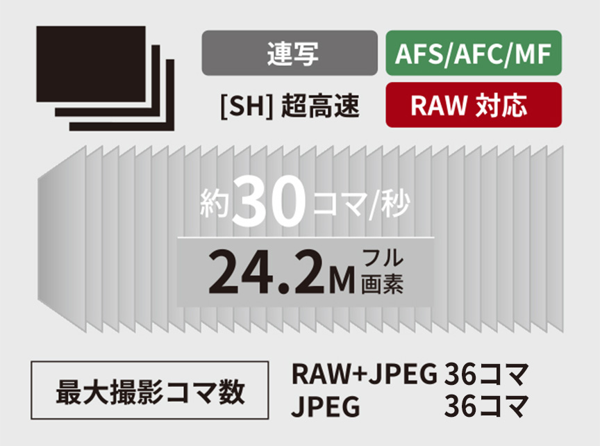 約30コマ/秒 24.2Mフル画素