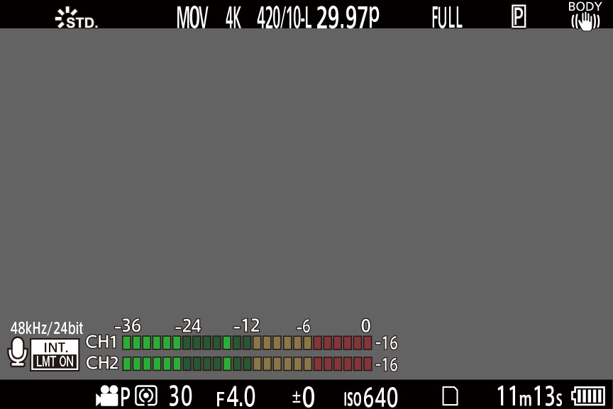 録音レベル表示