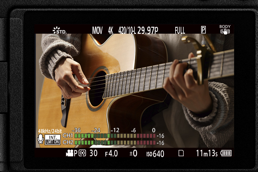 録音レベル表示