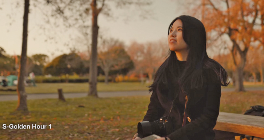 クリエイターLUT02