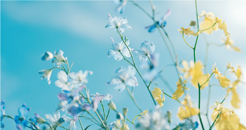 クリエイターLUT04