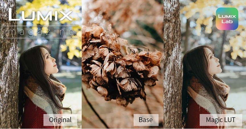 altテキストが入ります