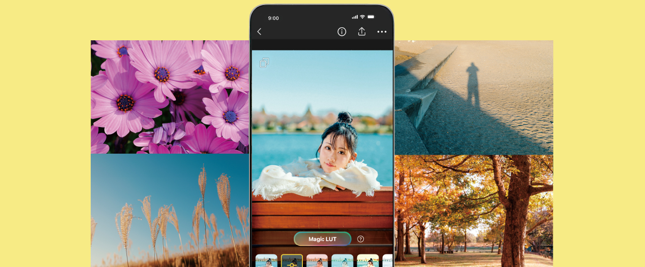 LUMIX Lab　LUT メインビジュアル