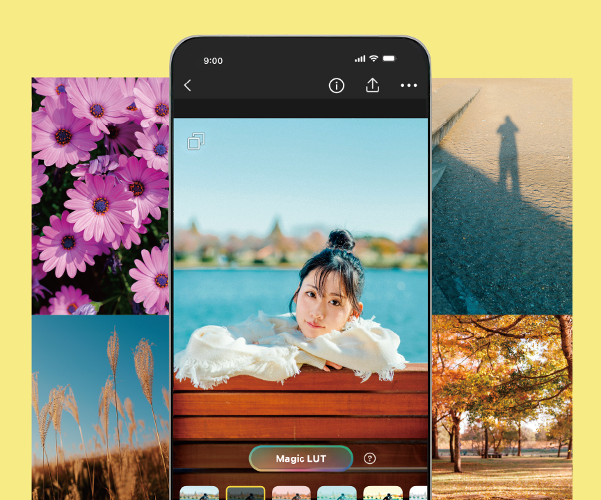 LUMIX Lab　LUT メインビジュアル