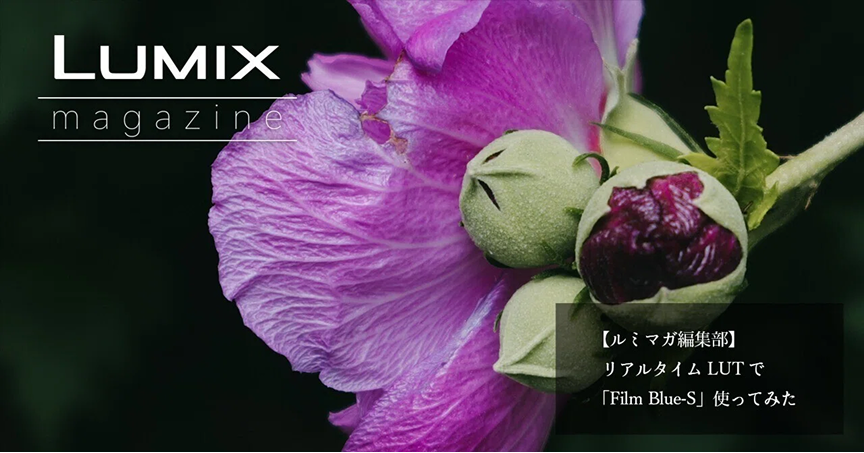 【ルミマガ編集部】リアルタイムLUTで「Film Blue-S」使ってみた 